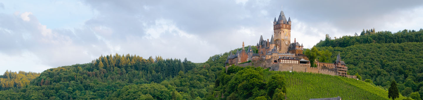 Study in Germany